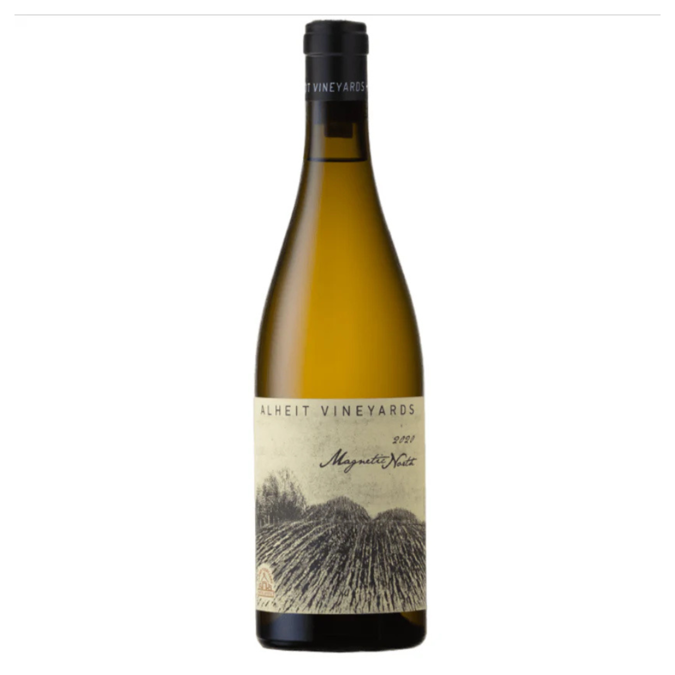Magnetic North - 2023 - Alheit Vineyards main image 1