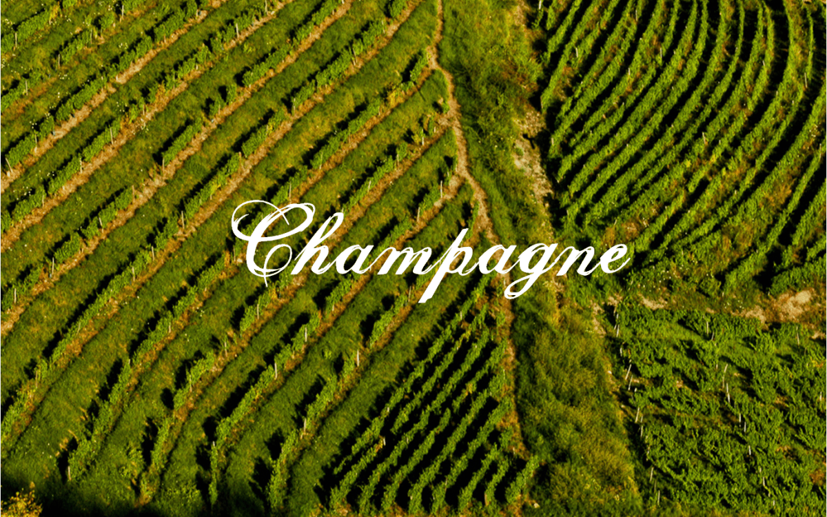 Binon Coquard comes to Love Wine