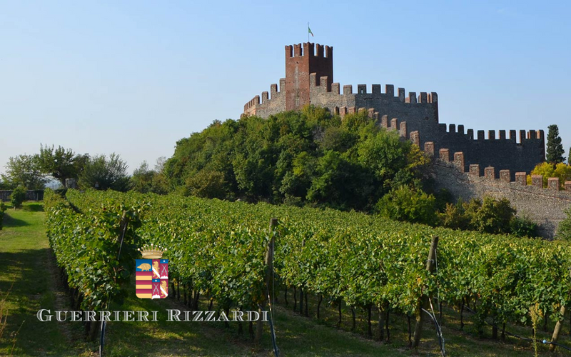 Producer Focus: Uncovering the Secrets of Guerrieri Rizzardi