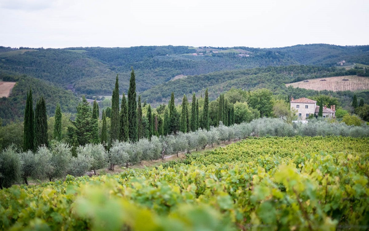 Chioccioli Altadonna Altore Super Tuscan LIMITED RELEASE 2013 VINTAGE
