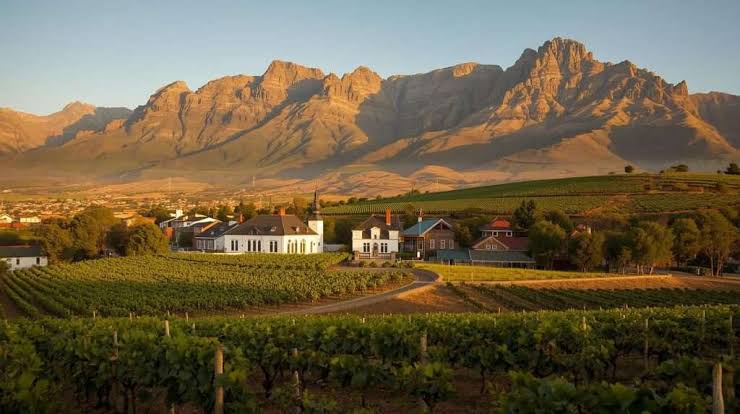 A Stellenbosch Cabernet worth getting to know
