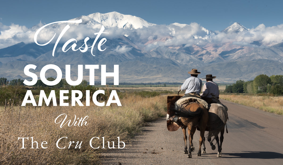 Cru Club Tasting - South America
