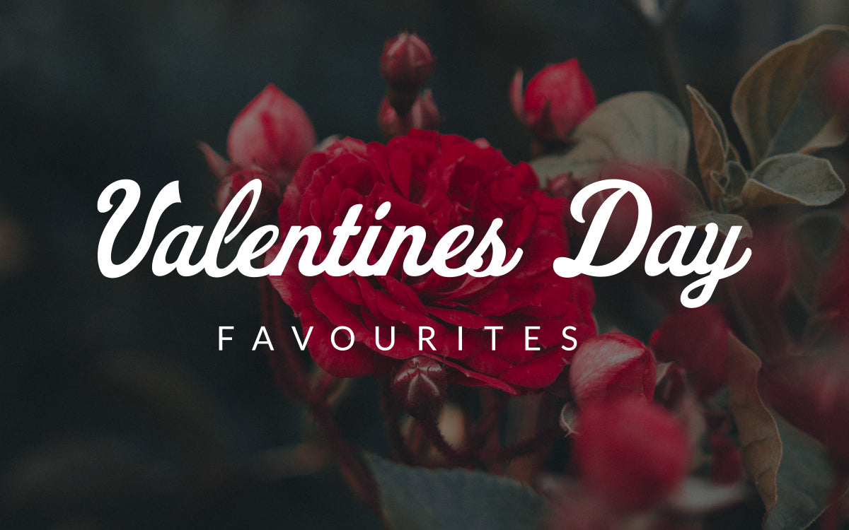 Valentine’s Day Favourites