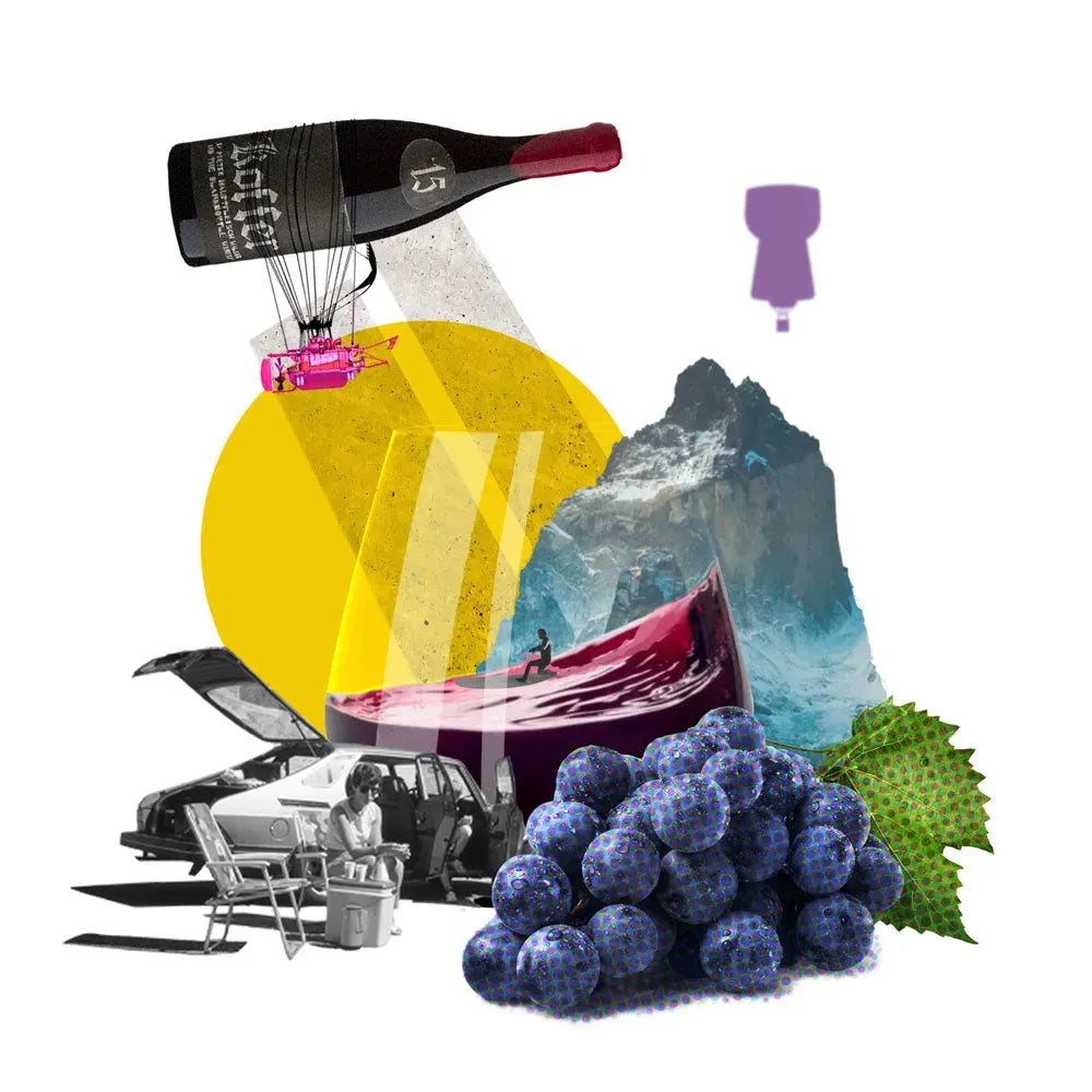 All Wine