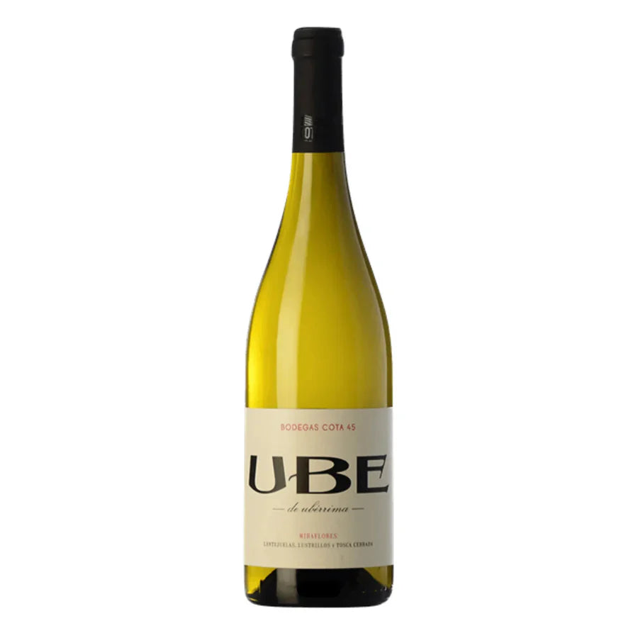 Ramiro Ibanez UBE 2024