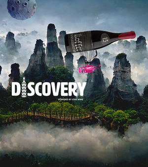 Buy Wine craft beer spirits and gifts in Jersey Channel Islands