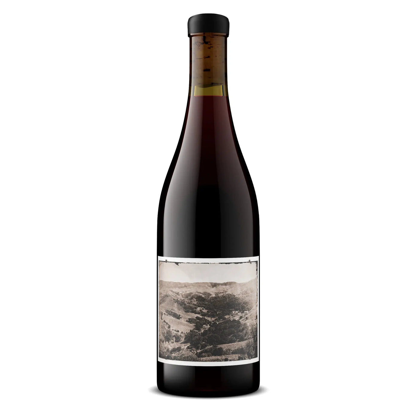 Sandhi Sta. Barbara Jalama Canyon Pinot Noir 2021