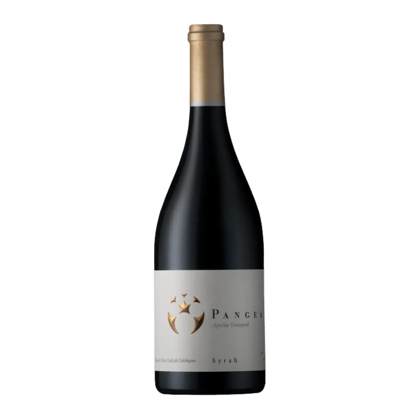 Ventisquero Pangea Syrah 2015