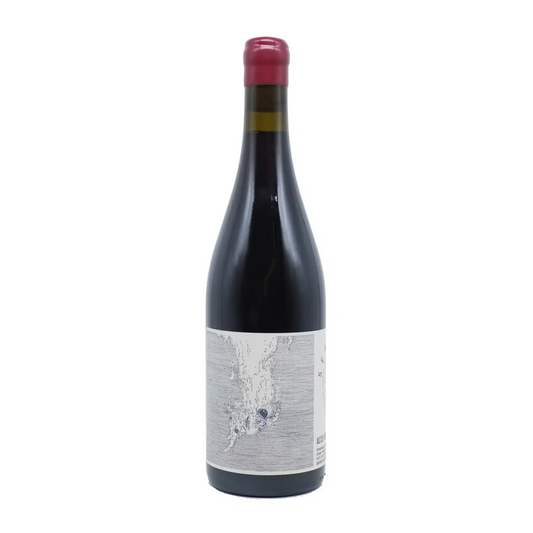 Vina Zorzal Sea of Dreams Garnacha