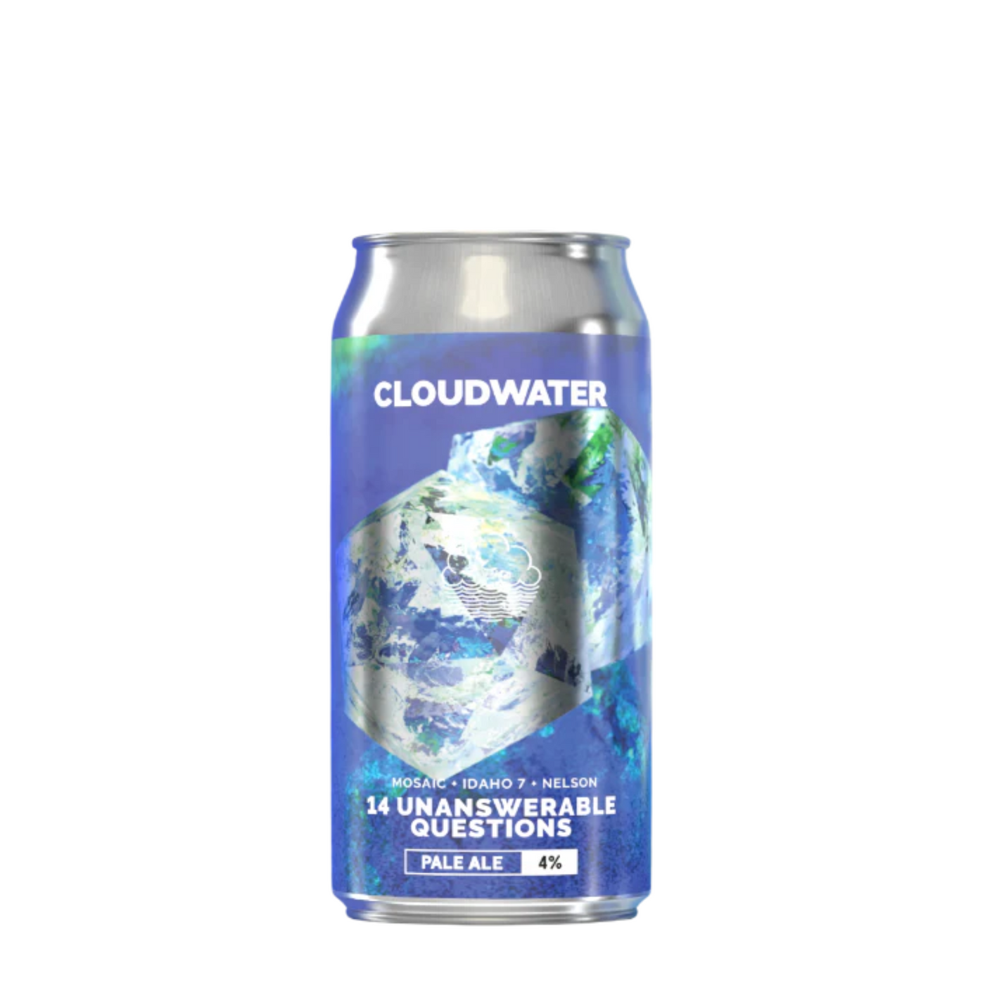 Cloudwater 14 Unanswerable Questions Pale Ale 440ml