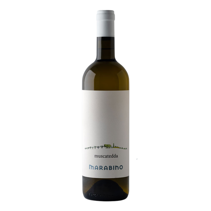 Marabino Muscatedda 2024