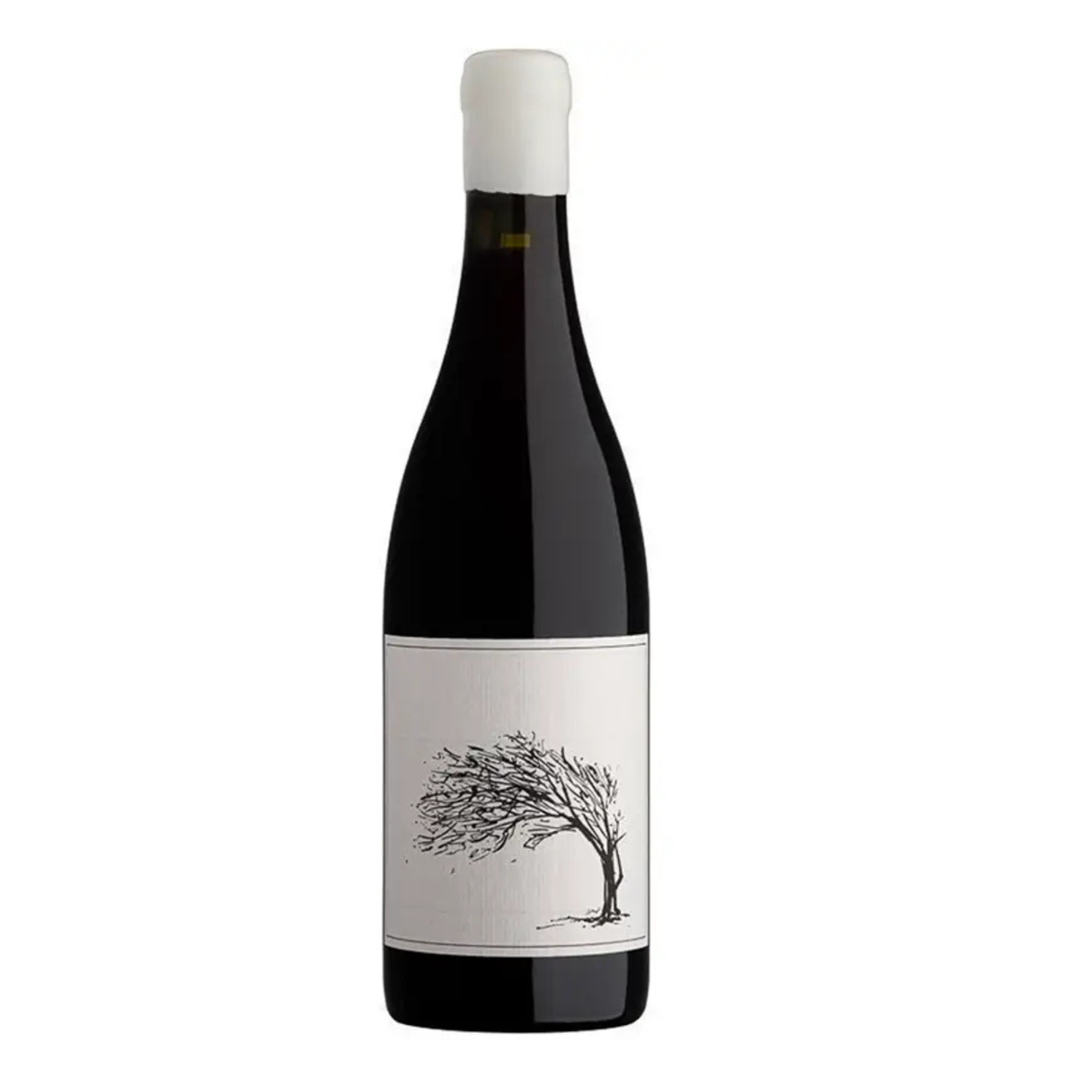 Savage Girl Next Door Syrah 2024