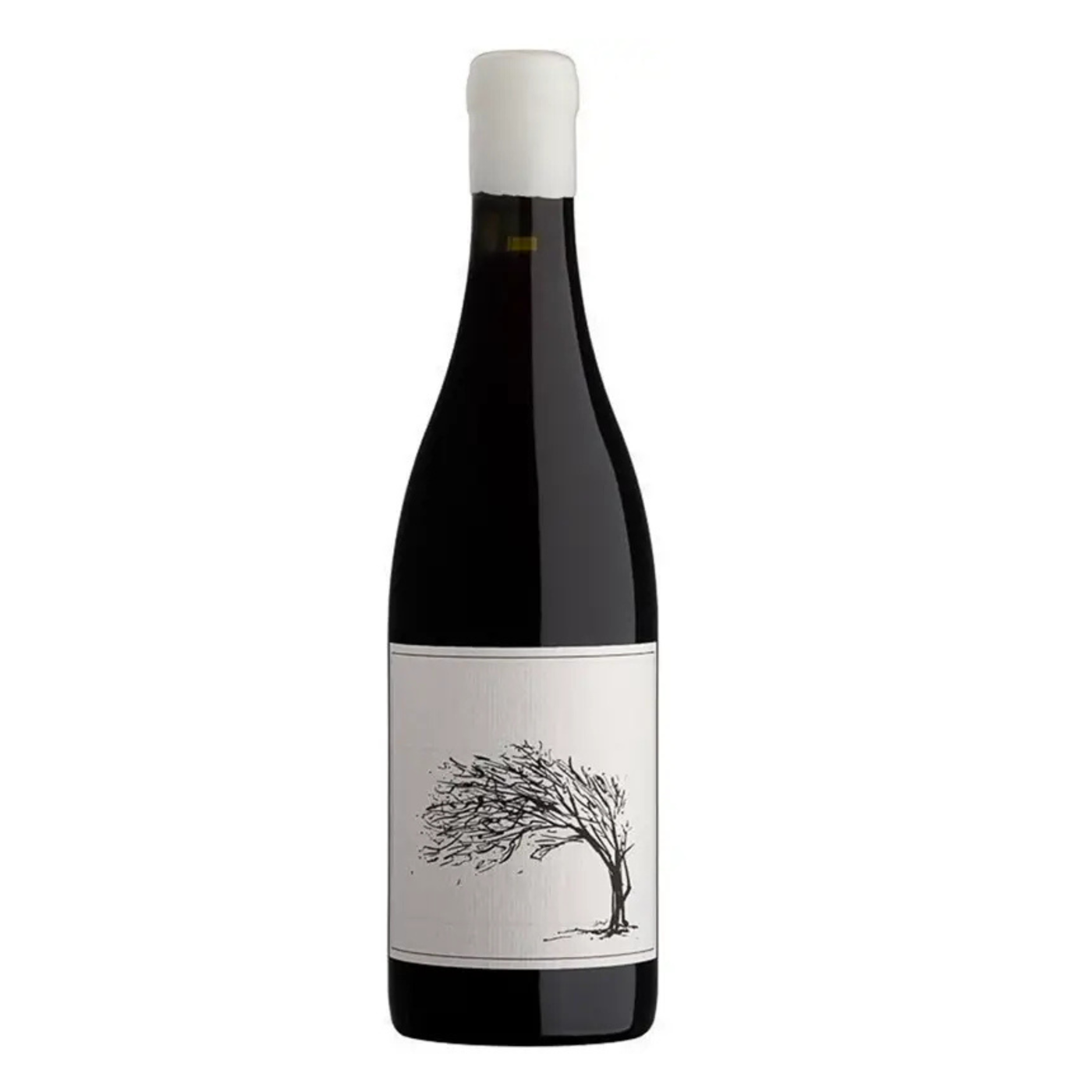 Savage Girl Next Door Syrah 2024