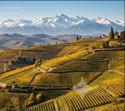 Piedmont