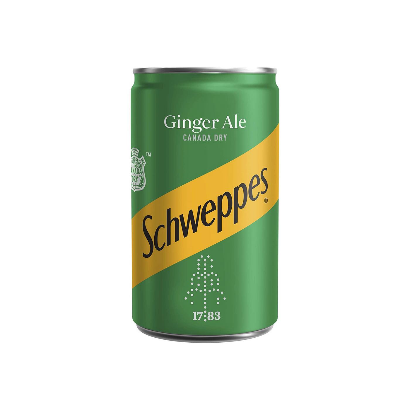 Schweppes Dry Ginger Ale Can 15cl